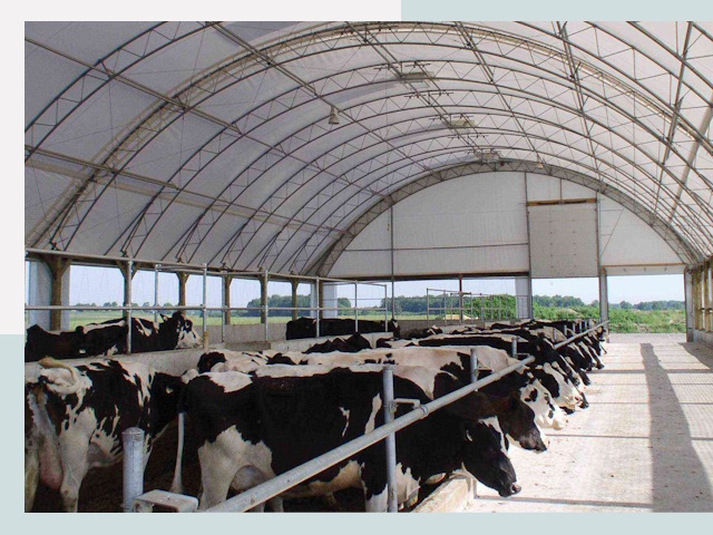Тентовые коровники в Кирове